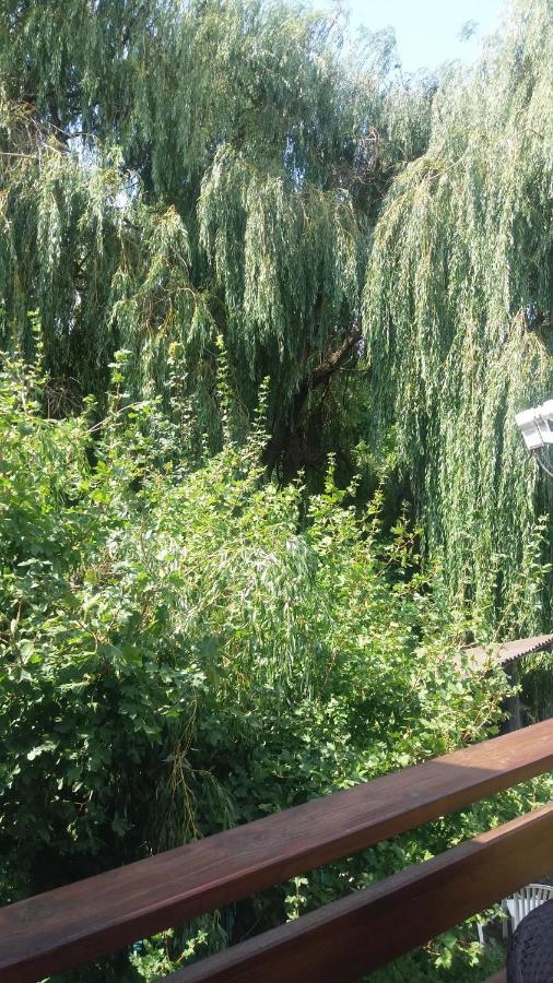 Vakacio Apartman Balatonalmádi المظهر الخارجي الصورة