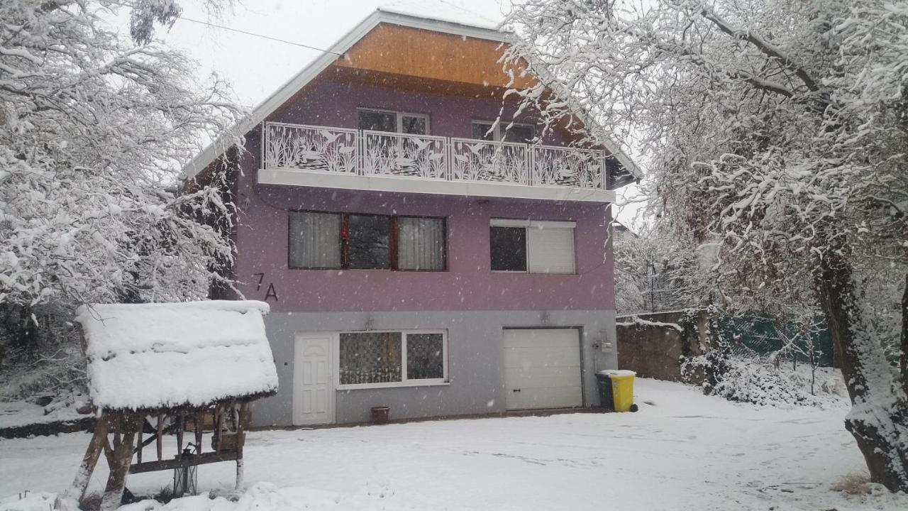 Vakacio Apartman Balatonalmádi المظهر الخارجي الصورة